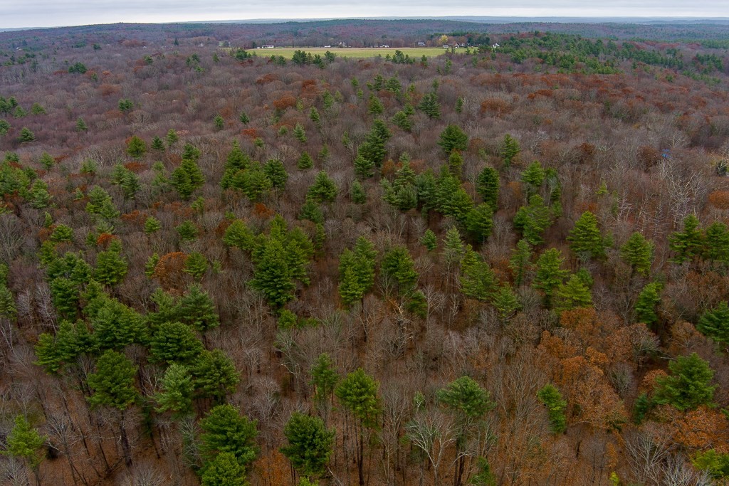 44 Old Mill Road Sutton, MA 01590 - Photo 5 of 7 an aerial view of forest