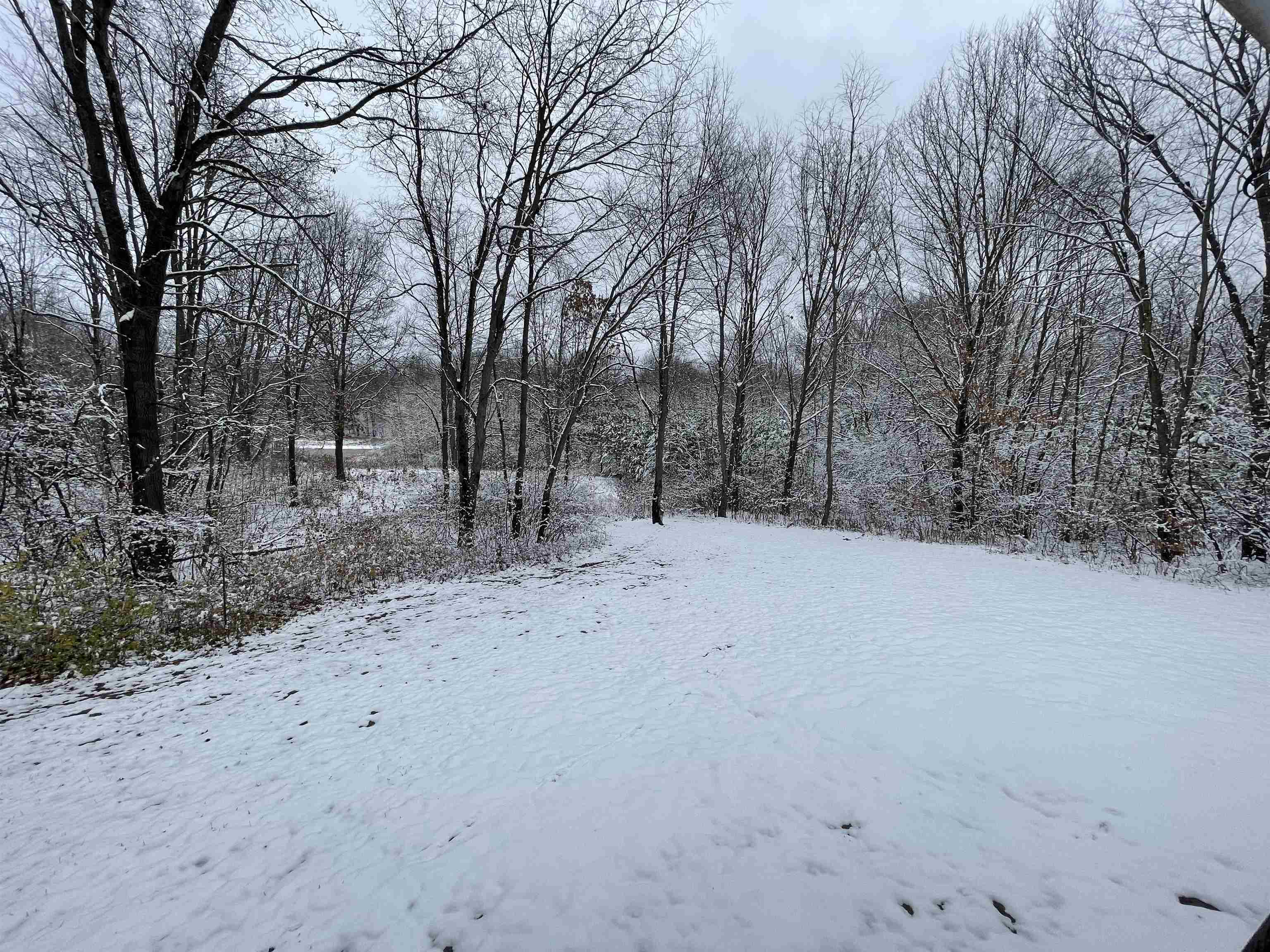 7454 West Maple Grove Road Lake, MI 48632 - Photo 5 of 30 1906739-4.JPG