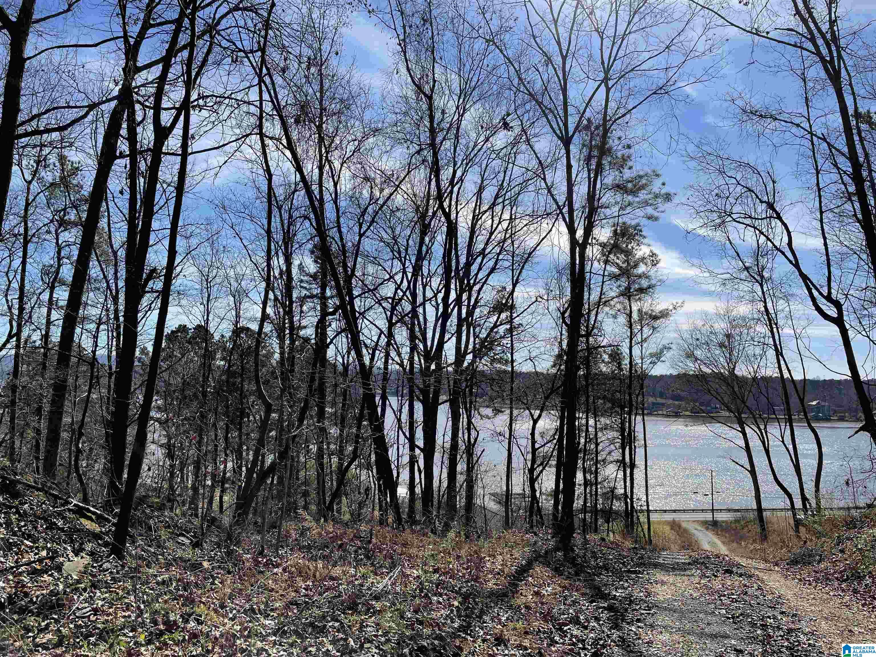 856 Whorton Bend Road, Unit 128 84 130 Rainbow City, AL 35906 - Photo 24 of 38