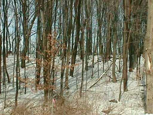 Lot # 1 Leesburg Station Road Volant, PA 16156 - Photo 2 of 2 Other.