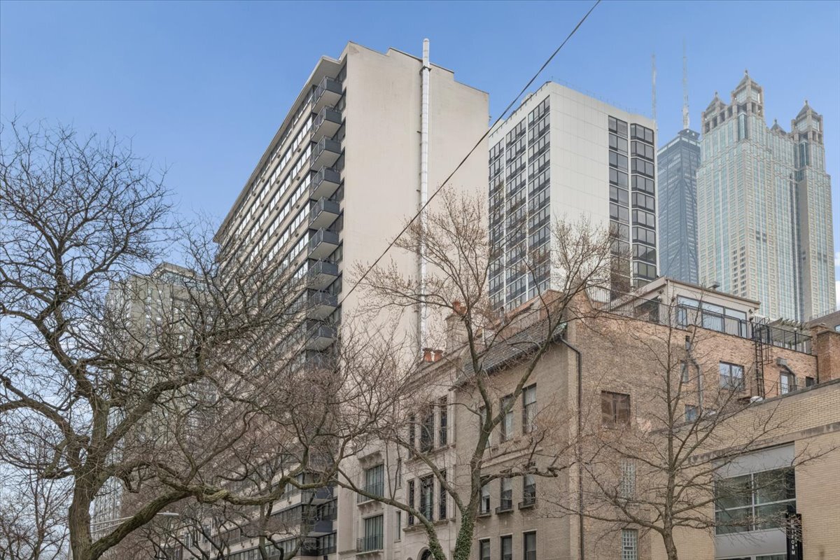 33 East Cedar Street, Unit 7D Chicago, IL 60611 - Photo 2 of 20