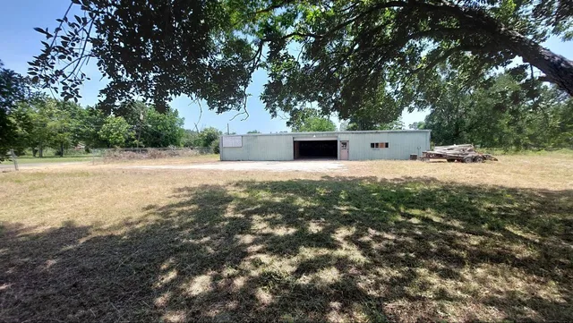 a view of a field with plants and trees
