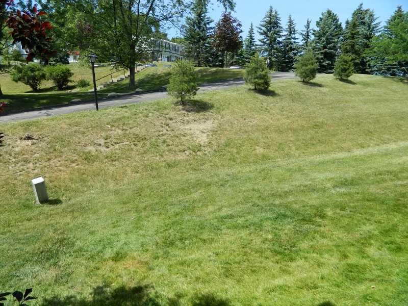 1005 Countryside Drive McKees Rocks, PA 15136 - Photo 17 of 19 Yard/Garden. View of the backyard.