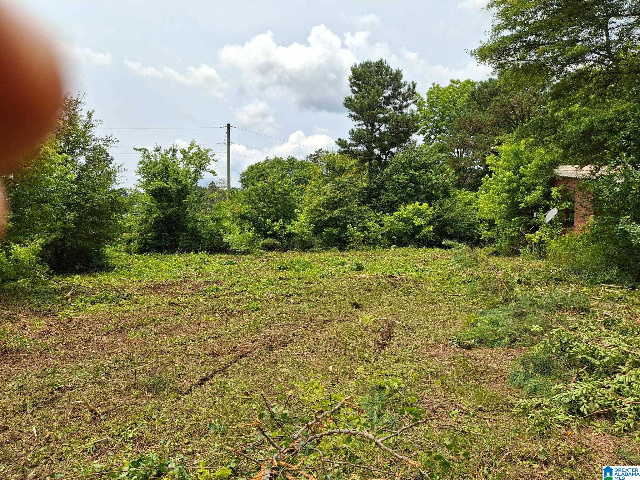7953 Chalkmine Road Hackleburg, AL 35564 - Photo 3 of 3