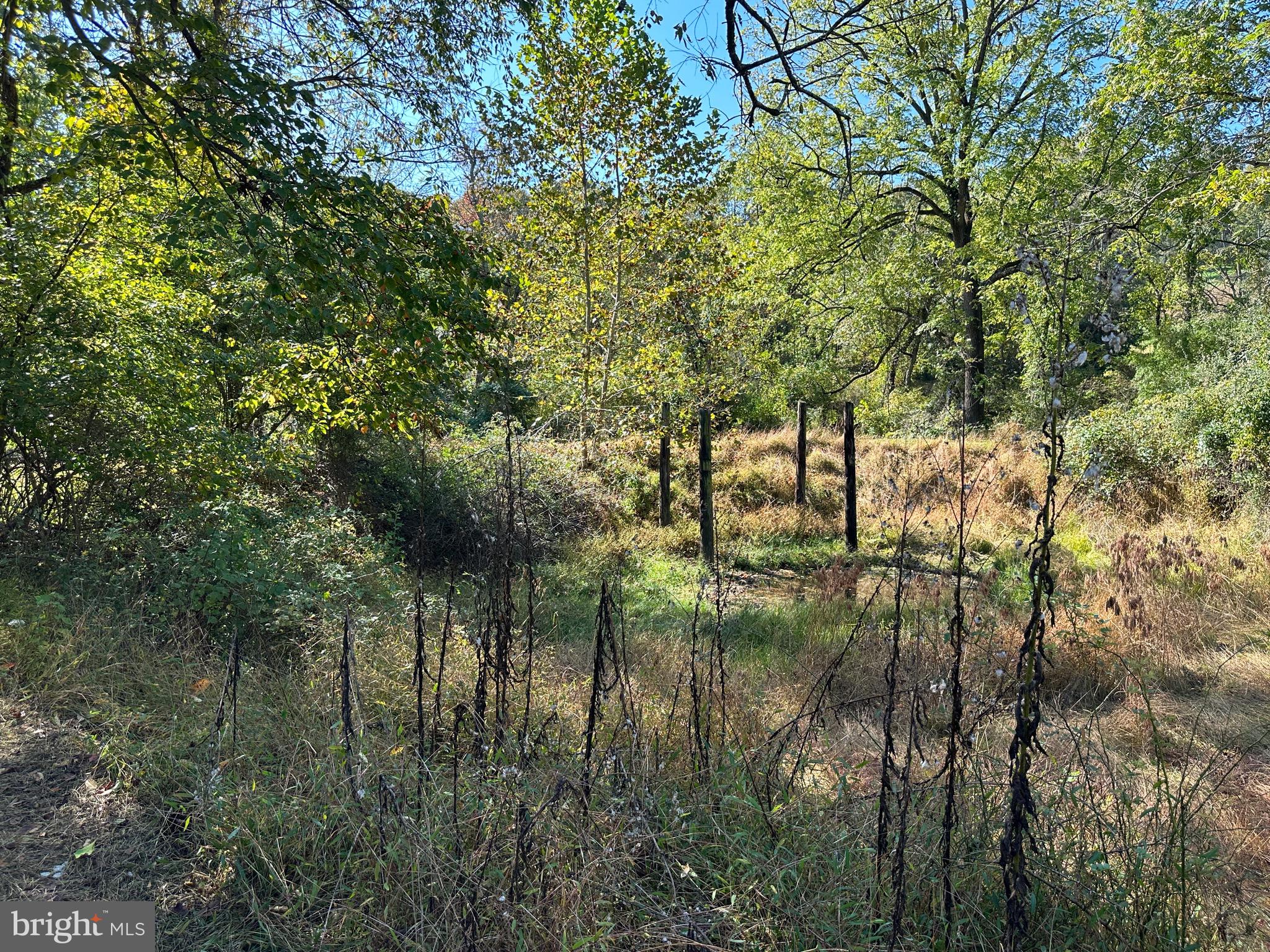 1693 Embreeville Road Coatesville, PA 19320 - Photo 51 of 55 Pond