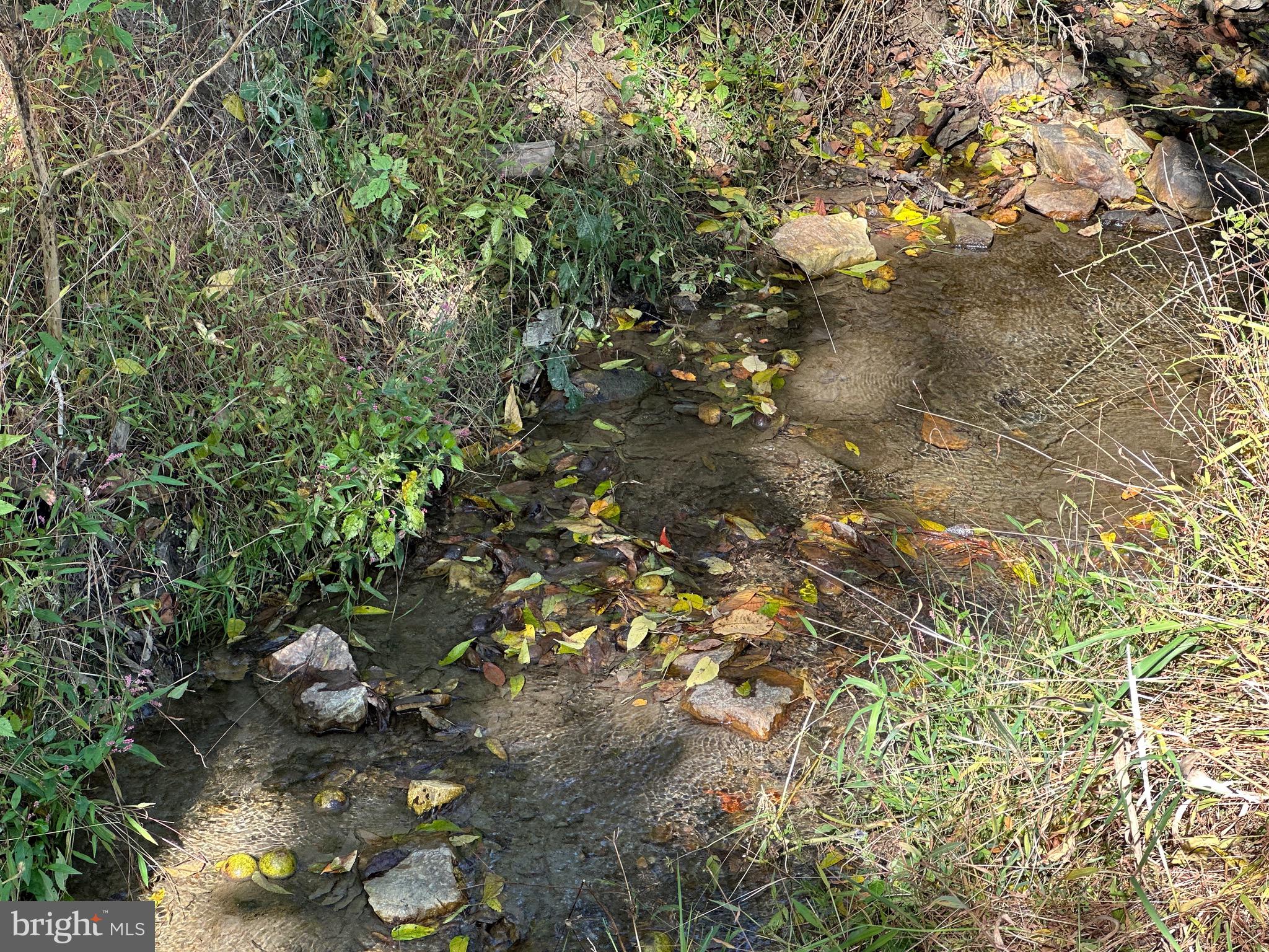 1693 Embreeville Road Coatesville, PA 19320 - Photo 53 of 55 Year round stream