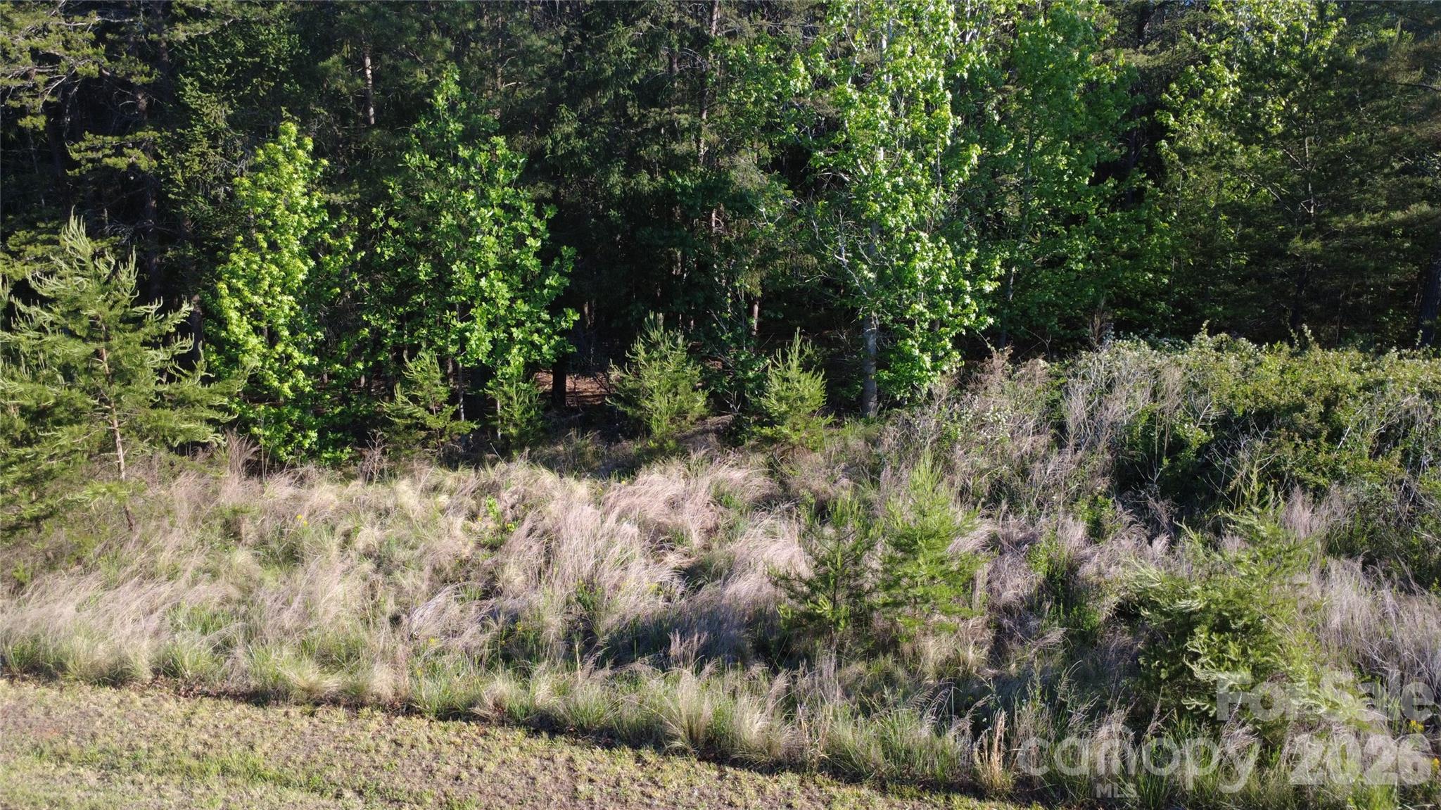 431 Ridge Point Road, Unit 7 Nebo, NC 28761 - Photo 19 of 20