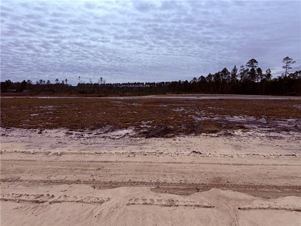 Lot 12 Wiregrass Lane, Unit 12 Waycross, GA 31503 - Photo 3 of 6