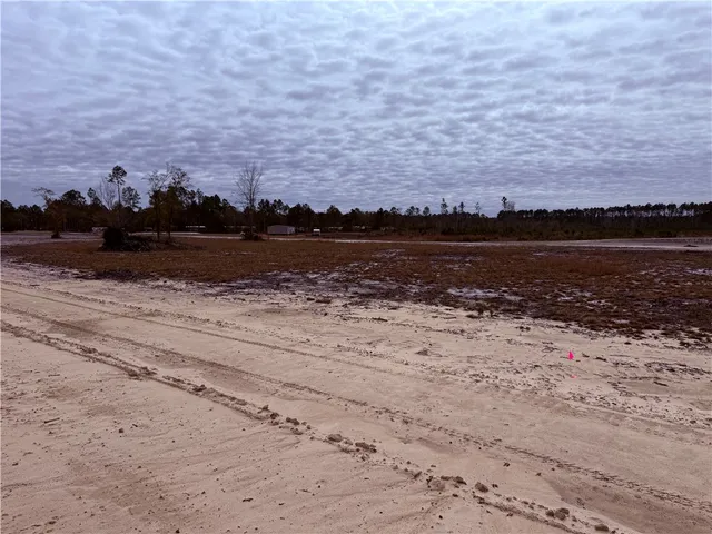$20,000 | Lot 12 Wiregrass Lane, Unit 12, Waycross, GA 31503
