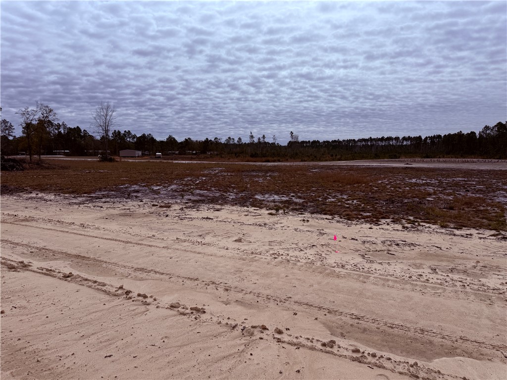 Lot 12 Wiregrass Lane, Unit 12 Waycross, GA 31503 - Photo 5 of 6