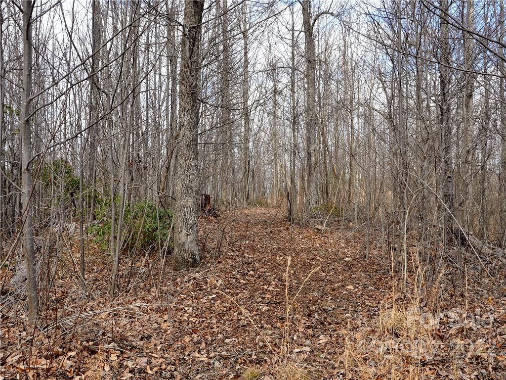 150-acres Moon Dance Trail Old Fort, NC 28762 - Photo 12 of 15 a view of a yard with large trees