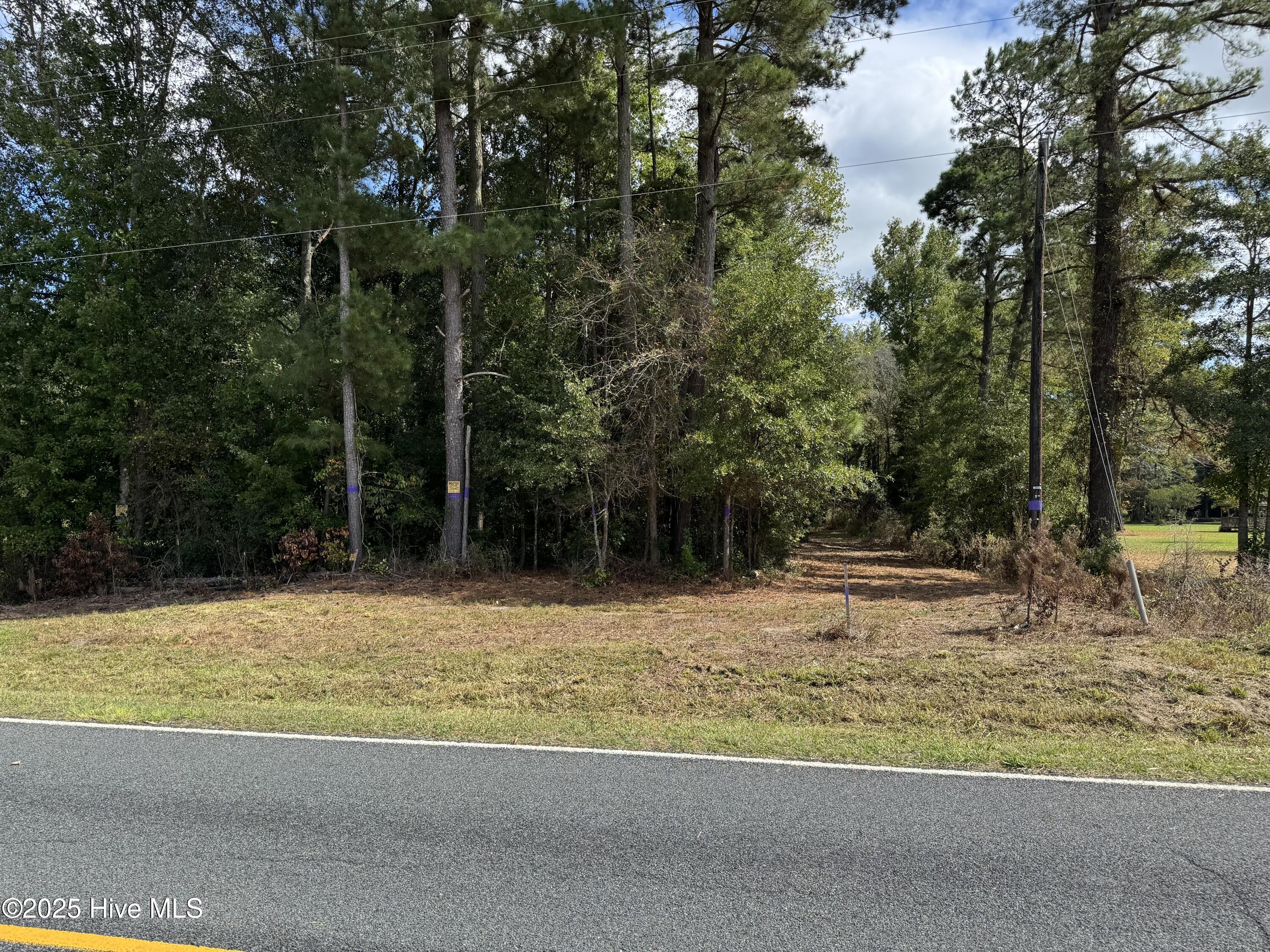 0 Wilmar Road Vanceboro, NC 28586 - Photo 1 of 1 0 Wilmar Road