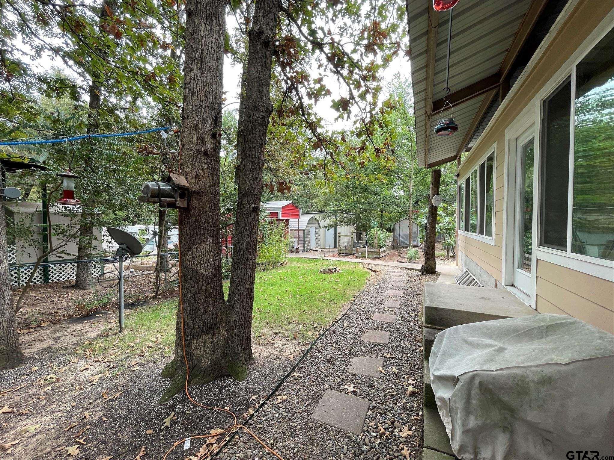 6435 FM 17 Yantis, TX 75497 - Photo 21 of 23 a view of backyard with tree
