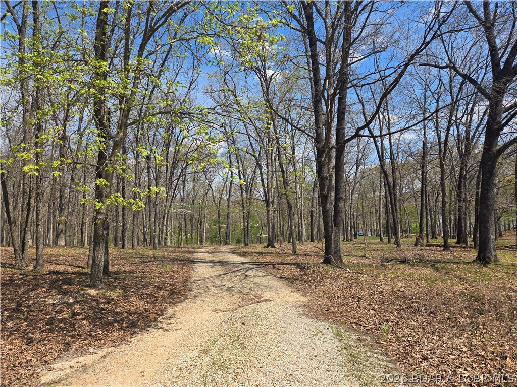 129 Summit View Circle Climax Springs, MO 65324 - Photo 25 of 26