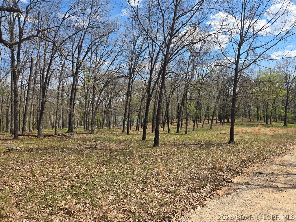 129 Summit View Circle Climax Springs, MO 65324 - Photo 26 of 26