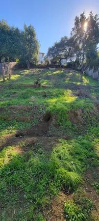 a view of an outdoor space