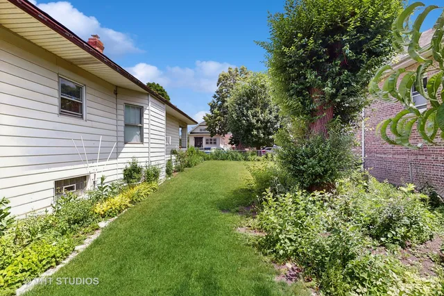 a view of a backyard with plants and large trees