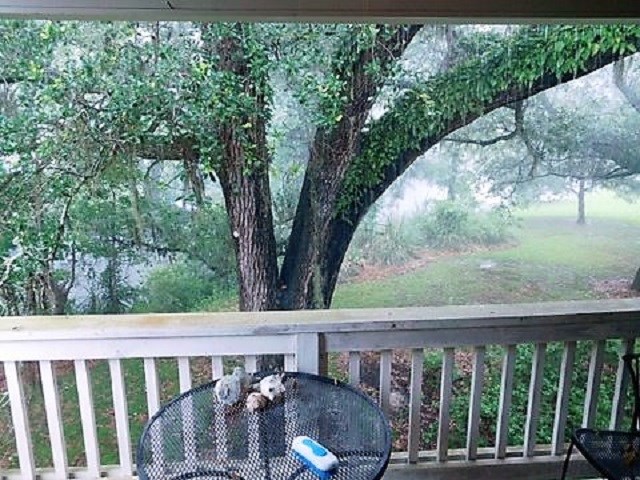 118 Wedgefield Village Road, Unit 38 Georgetown, SC 29440 - Photo 13 of 40 Gallery Image 13