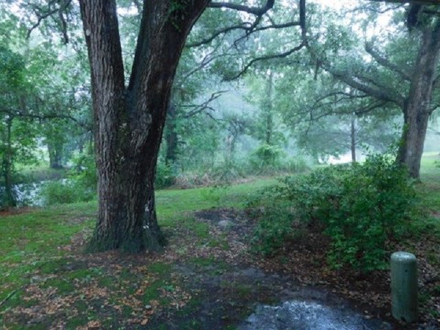 118 Wedgefield Village Road, Unit 38 Georgetown, SC 29440 - Photo 18 of 40 Gallery Image 18