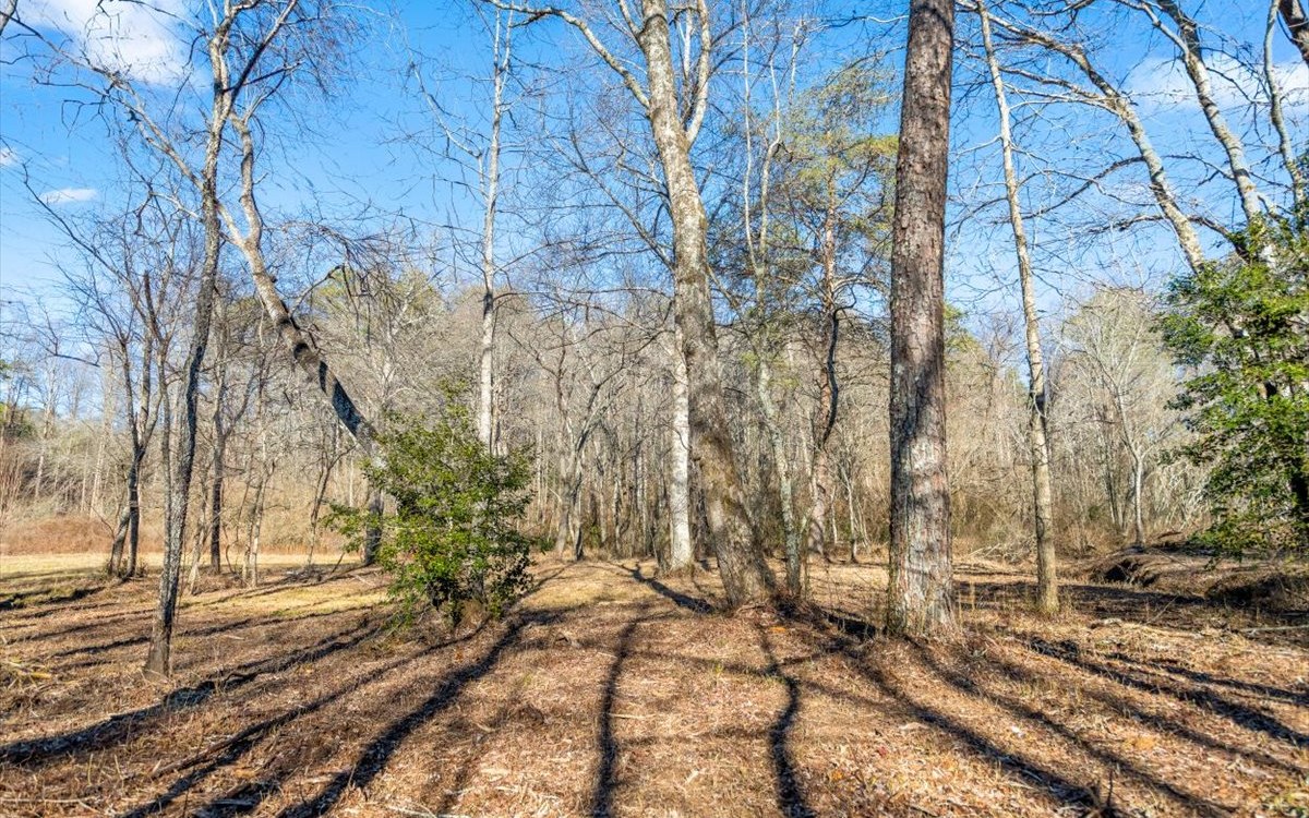 Fowler Road Ellijay, GA 30536 - Photo 6 of 20 Additional View