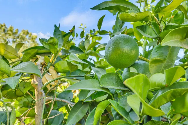 $515,000 | 2407 Cathay Way, Sacramento, CA 95864