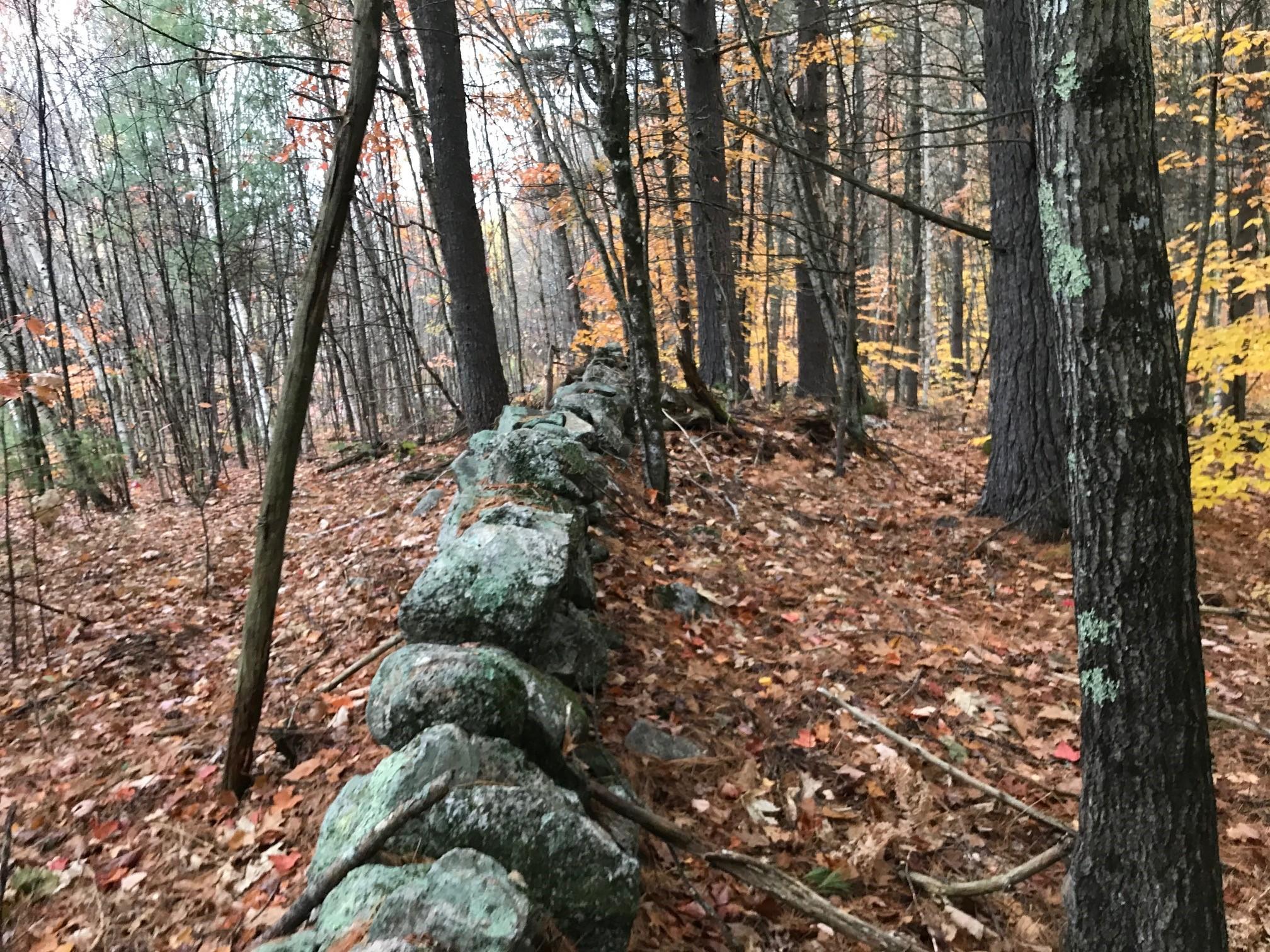 0 Spring Road West Newfield, ME 04095 - Photo 10 of 17 8