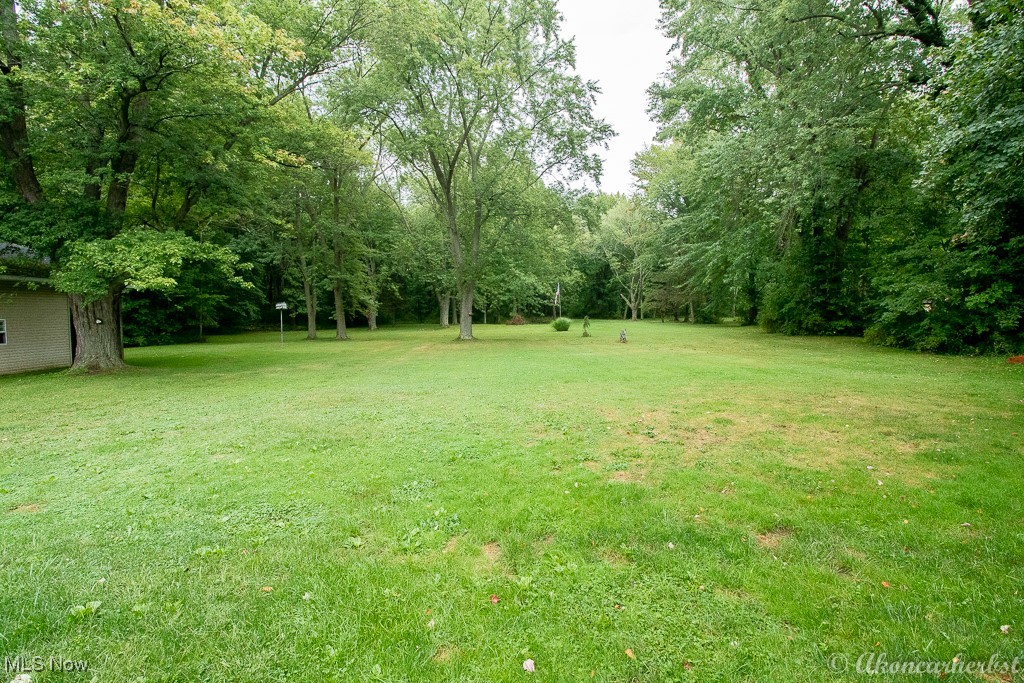 1667 Red Bird Road Madison, OH 44057 - Photo 11 of 44 Scenic view of the backyard just under 3 acres. 40 x 60 building is situated to the left.