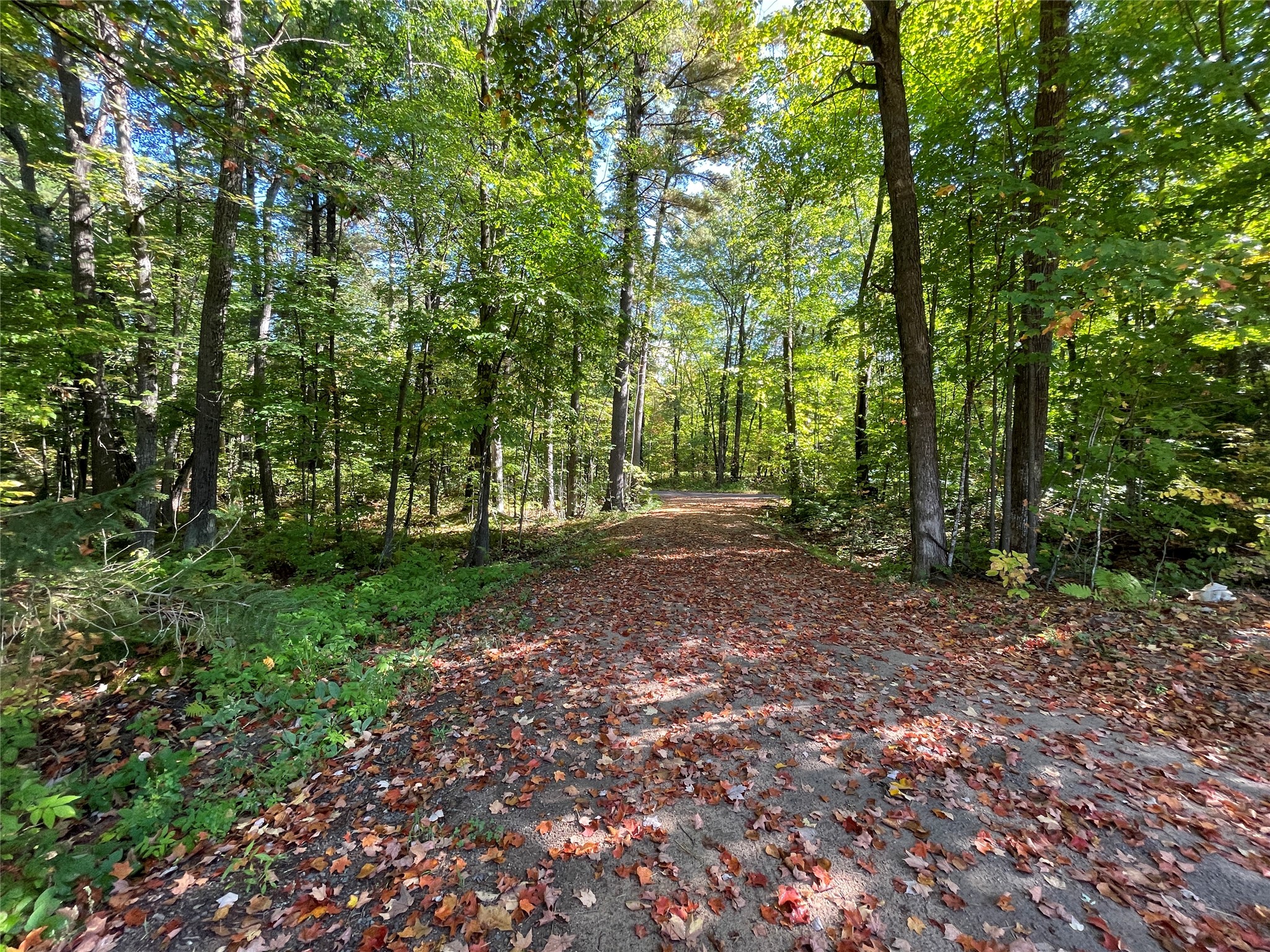 6073 North Elsie Road Stone Lake, WI 54876 - Photo 41 of 42