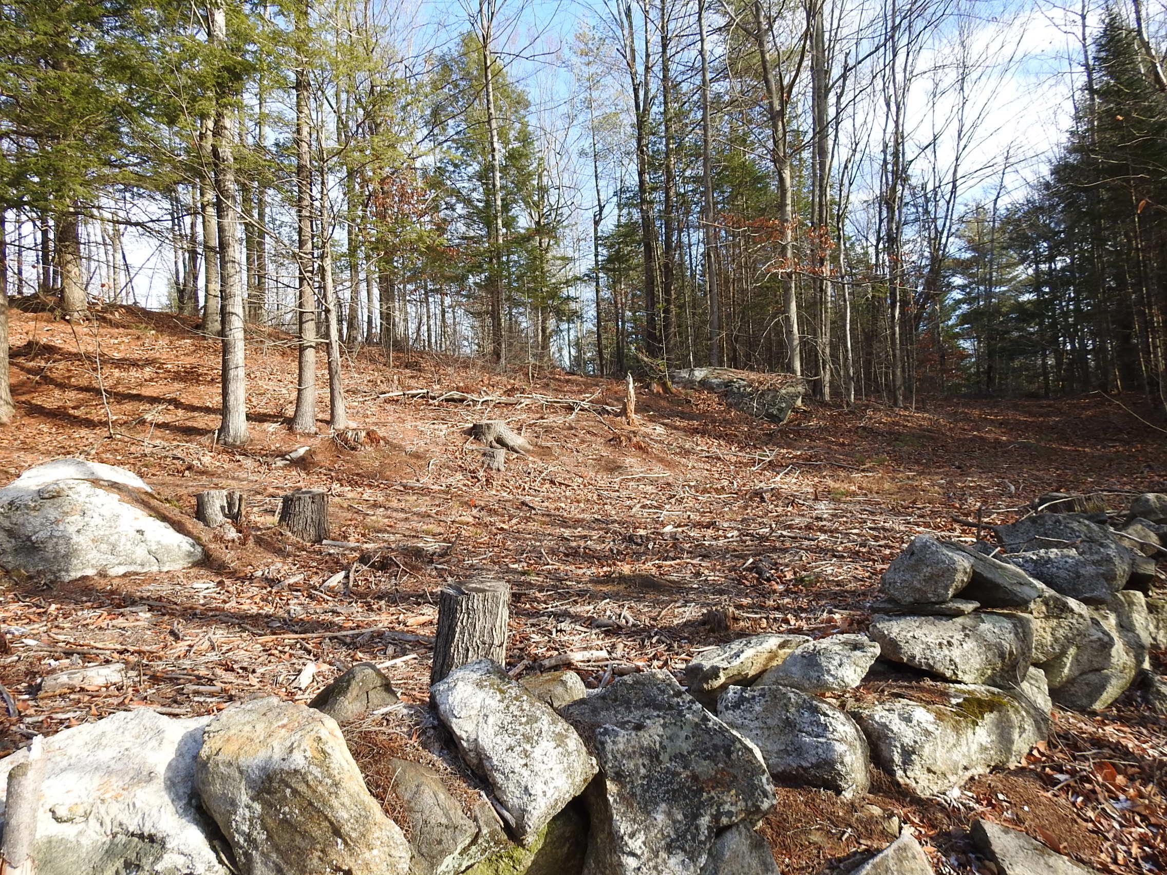15 Roy Road West Paris, ME 04289 - Photo 25 of 27 DSCN4392