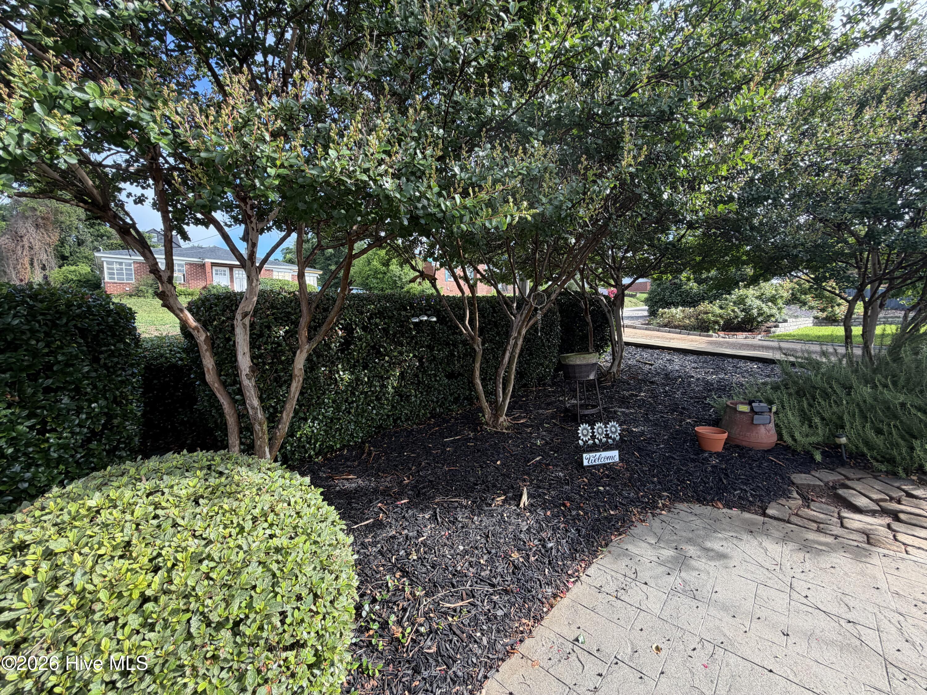 1133 Ridgecrest Avenue North Augusta, SC 29841 - Photo 3 of 23