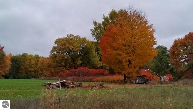 9576 West Drew Road Weidman, MI 48893 - Photo 30 of 30 1795054-29.JPG