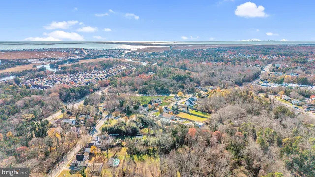 a room with lots of trees and flowers