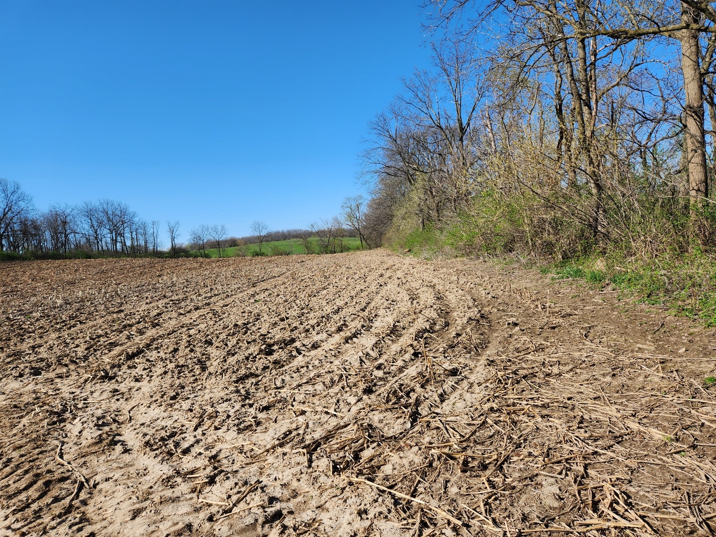 0 Knickerbocker Road Harvard, IL 60033 - Photo 12 of 13