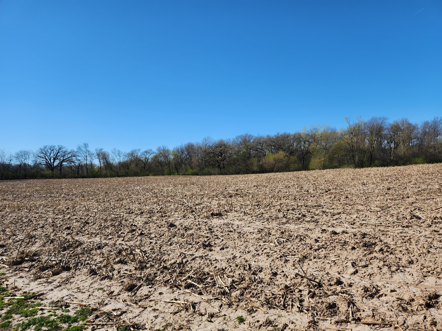 0 Knickerbocker Road Harvard, IL 60033 - Photo 4 of 13