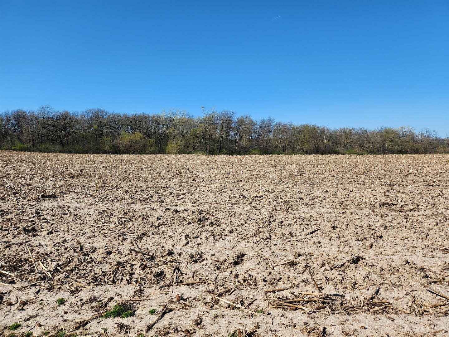 0 Knickerbocker Road Harvard, IL 60033 - Photo 5 of 13