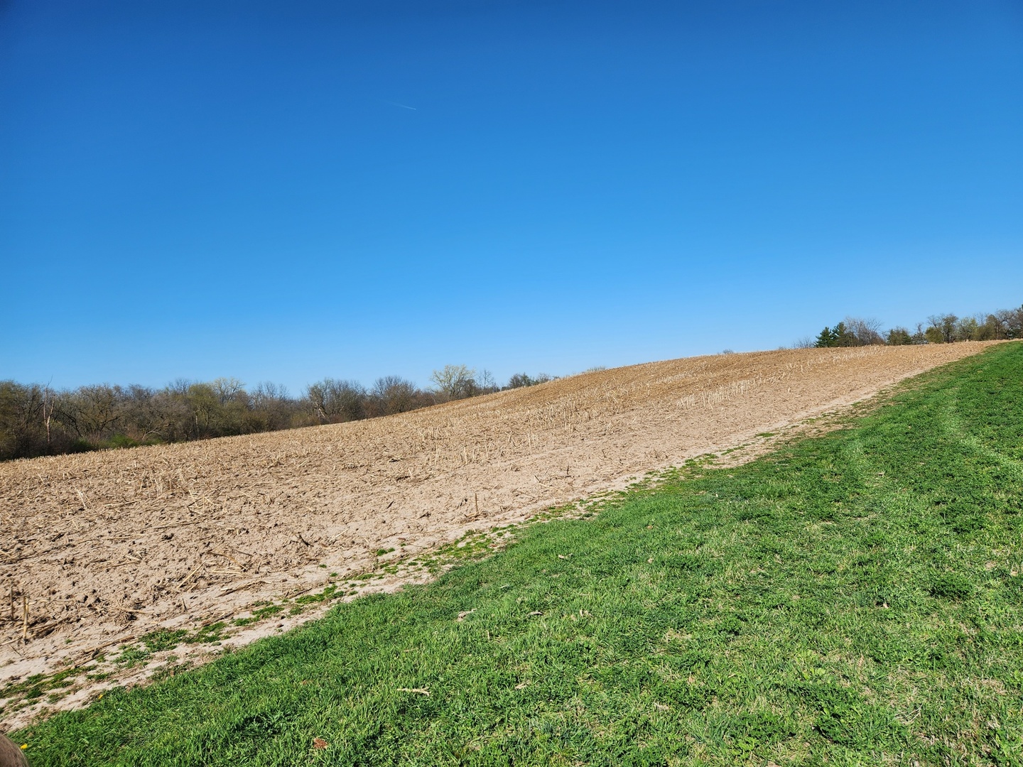 0 Knickerbocker Road Harvard, IL 60033 - Photo 6 of 13
