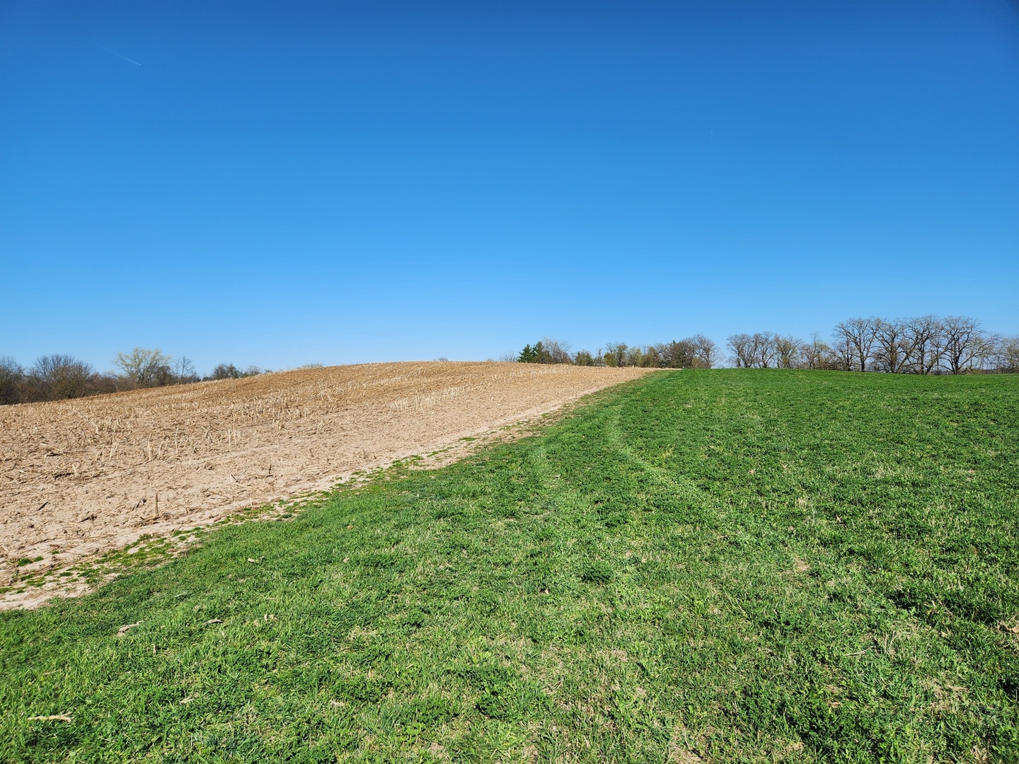 0 Knickerbocker Road Harvard, IL 60033 - Photo 7 of 13
