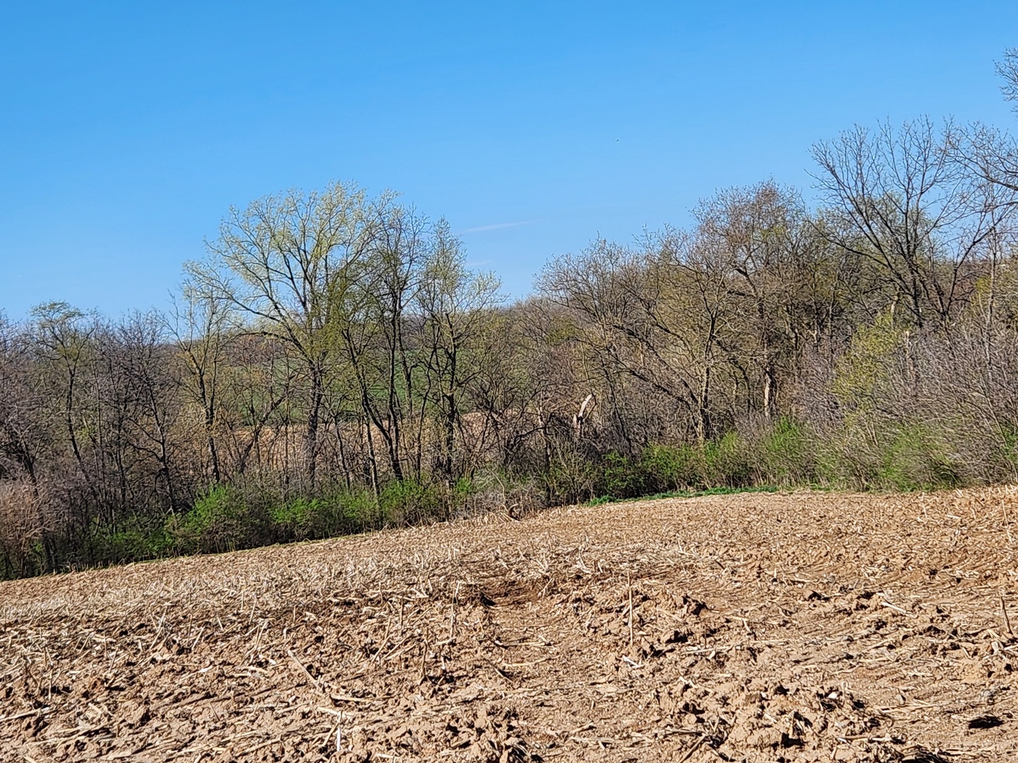 0 Knickerbocker Road Harvard, IL 60033 - Photo 9 of 13