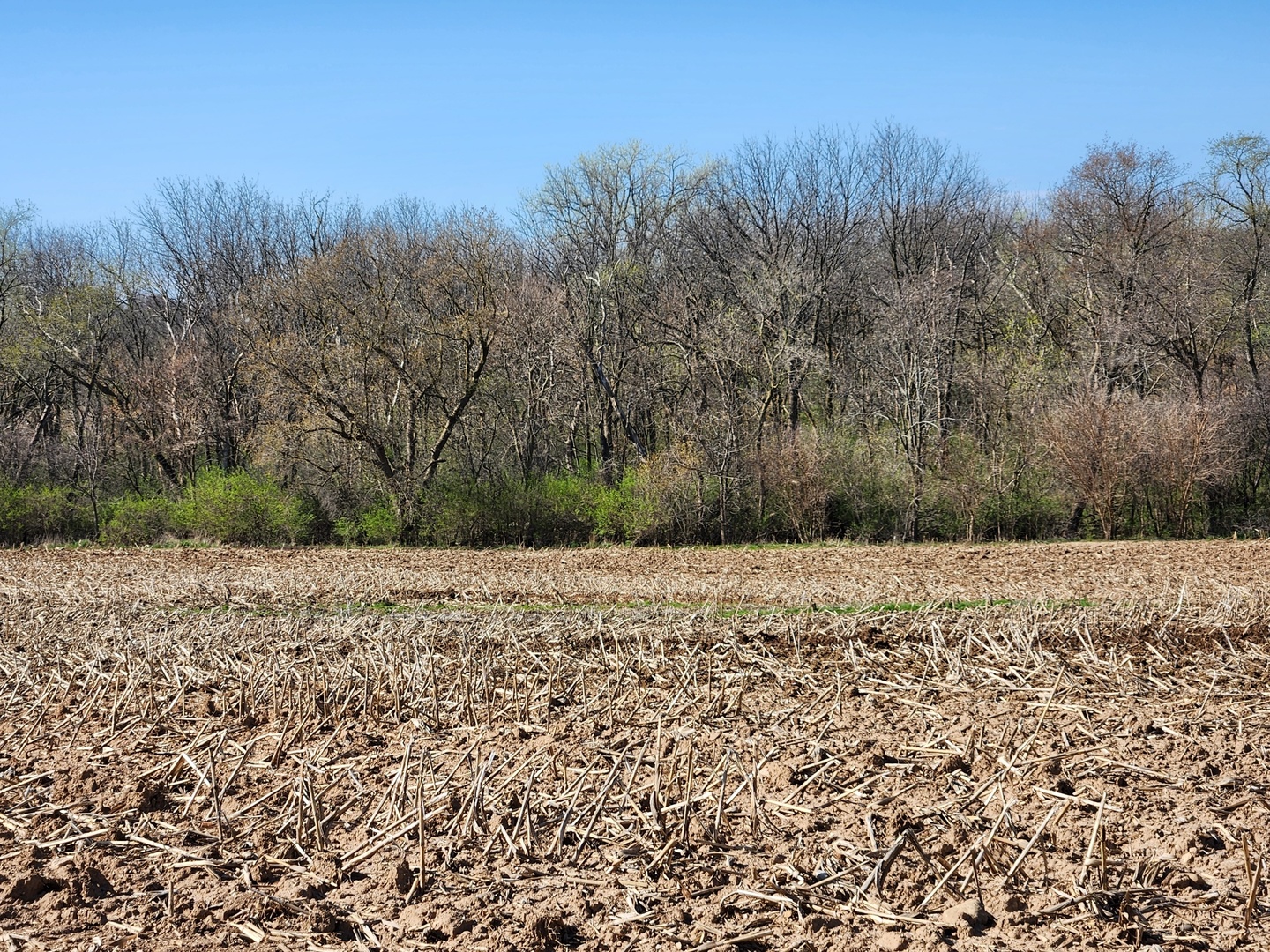 0 Knickerbocker Road Harvard, IL 60033 - Photo 10 of 13