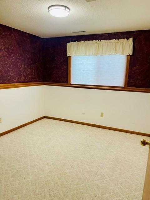 4433 57th Street Northwest Rochester, MN 55901 - Photo 13 of 17