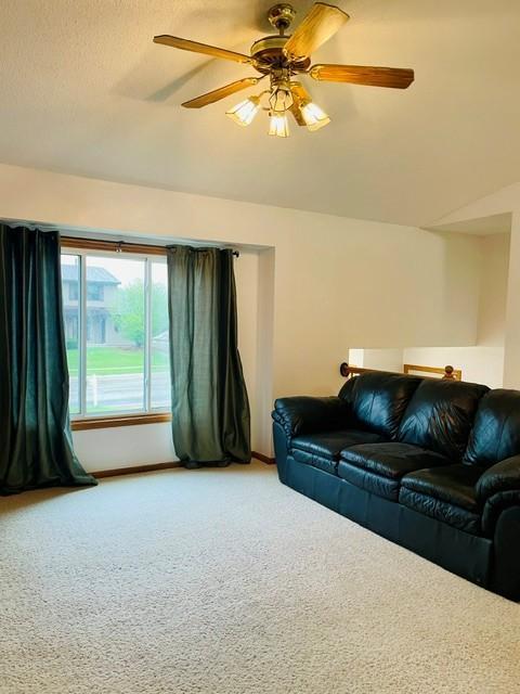 4433 57th Street Northwest Rochester, MN 55901 - Photo 3 of 17