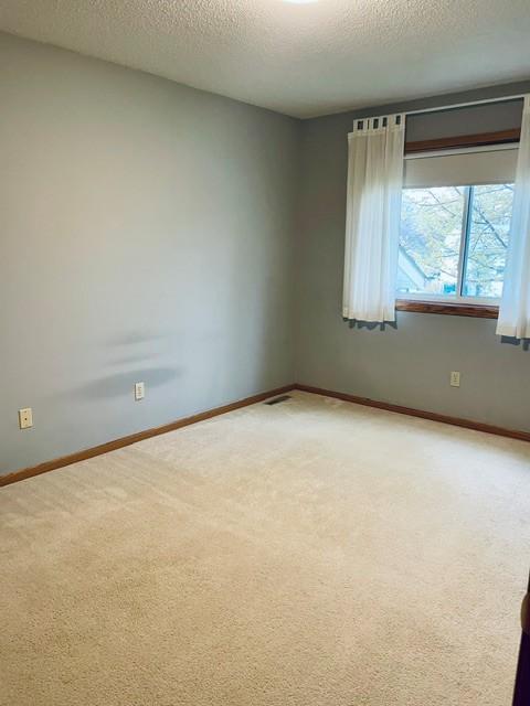 4433 57th Street Northwest Rochester, MN 55901 - Photo 7 of 17