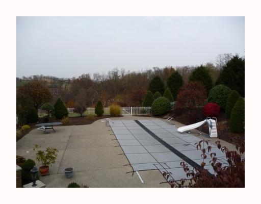 119 Justabout Road Venetia, PA 15367 - Photo 6 of 18 Swimming Pool/Hot Tub/Sauna.