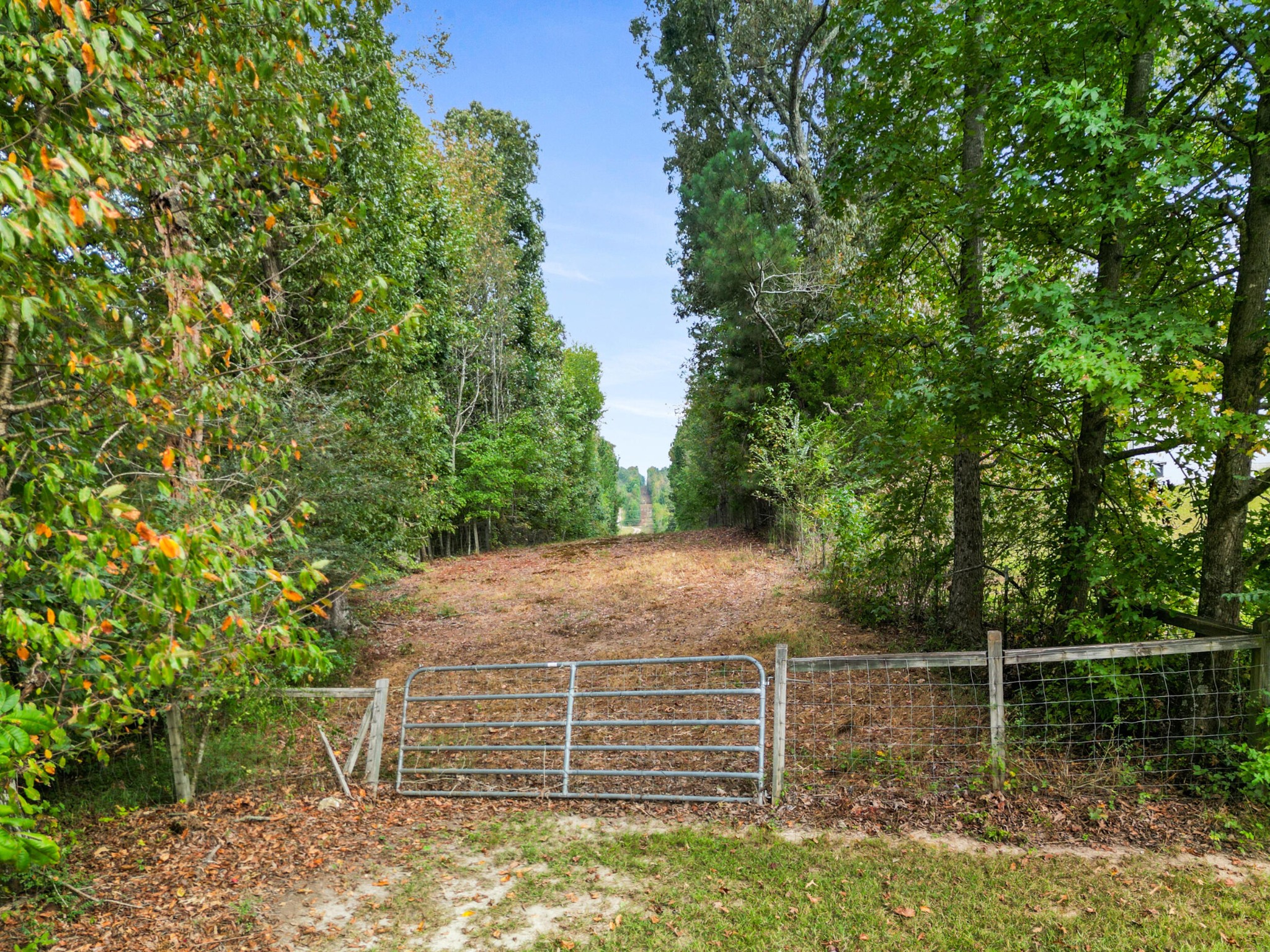176 Turkey Ridge Road LaFayette, GA 30728 - Photo 9 of 34 Gallery Image 9