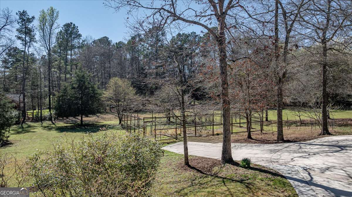 a view of a park with large trees