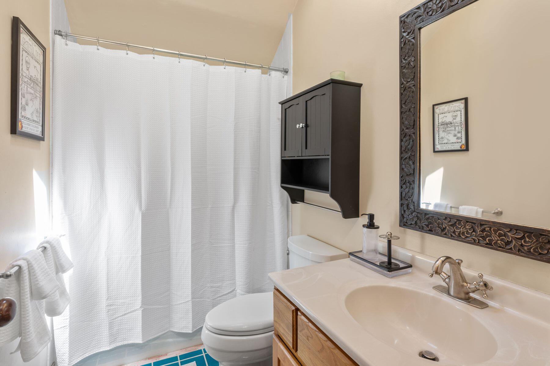 239 North Davis Street Telluride, CO 81435 - Photo 31 of 42 photo_online_032