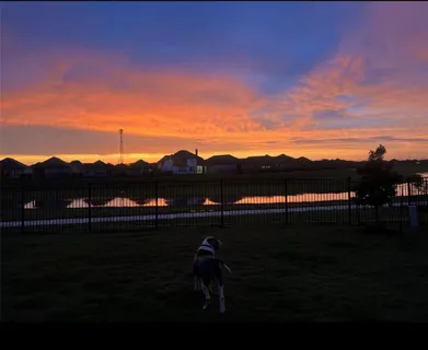 a view of a lake in middle of sunset