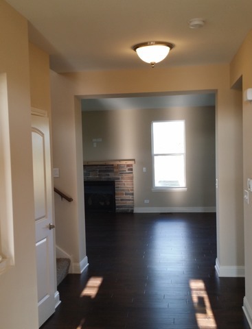 2056 Stapleton Road New Lenox, IL 60451 - Photo 12 of 25 a view of a livingroom with a fireplace