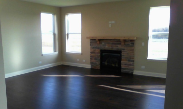 2056 Stapleton Road New Lenox, IL 60451 - Photo 18 of 25 an empty room with wooden floor and fireplace