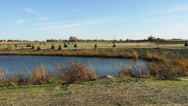 2056 Stapleton Road New Lenox, IL 60451 - Photo 22 of 25 a view of lake